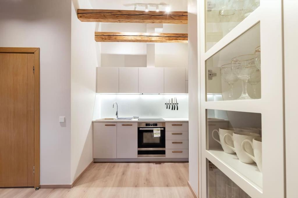 Luxury Apartment In Gedimino Av. Vilna Exterior foto